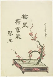 Pflaumenblumen-Arrangement